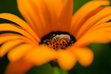 Similar image 21772435