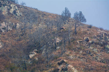 Similar image 21772436