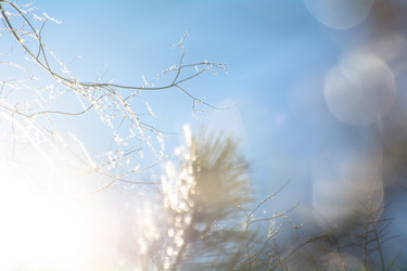 Similar image 21772443