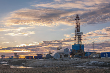 Similar image 21772449