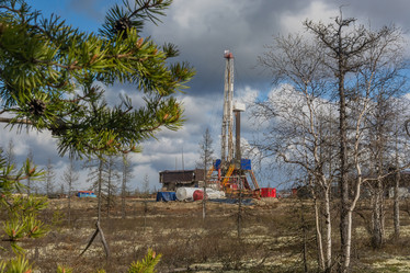 Similar image 21772460