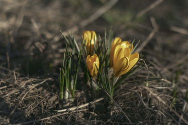 Similar image 21772797