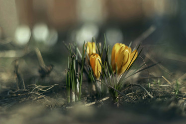 Similar image 21772798