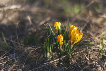 Similar image 21772799