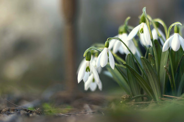 Similar image 21772800