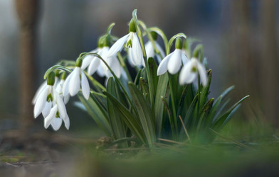 Similar image 21772801