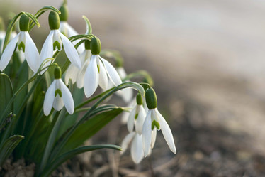 Similar image 21772802