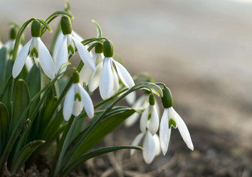 Similar image 21772803