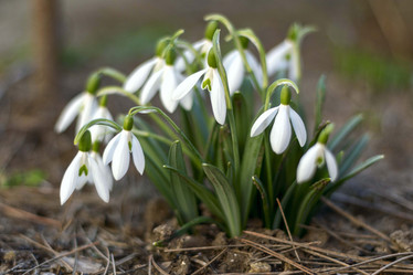 Similar image 21772804