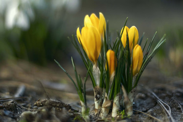 Similar image 21772805