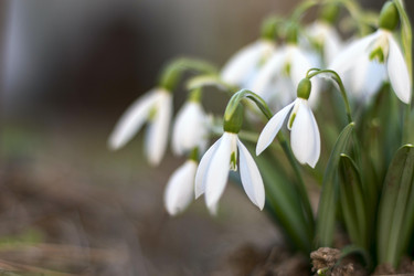 Similar image 21772806