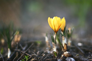 Similar image 21772807