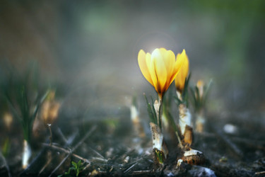 Similar image 21772808