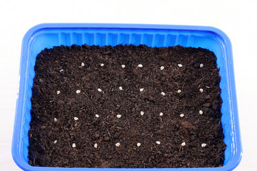 Similar image 21772249