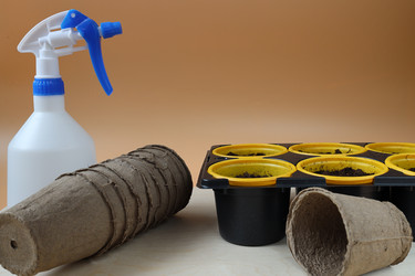 Similar image 21772252