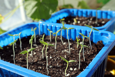 Similar image 21772253