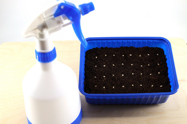 Similar image 21772255