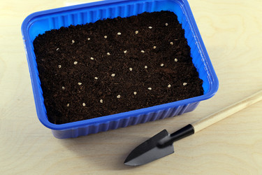 Similar image 21772256