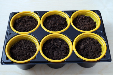 Similar image 21772257