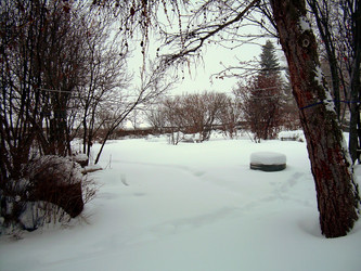 Similar image 21772615