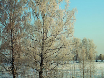 Similar image 21772616