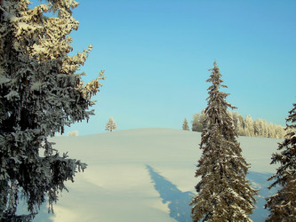 Similar image 21772618