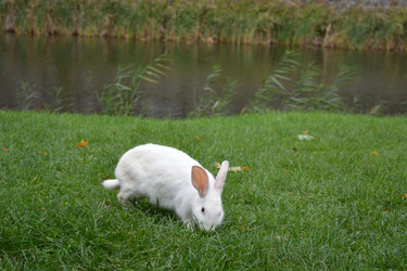 Similar image 21772259