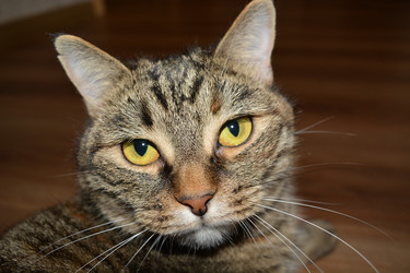 Similar image 21772260