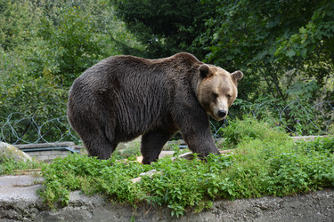 Similar image 21772261