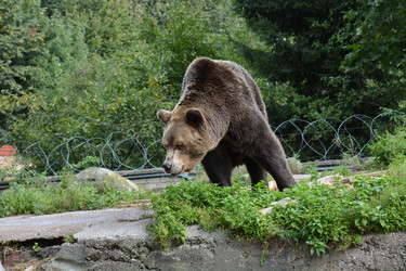 Similar image 21772262