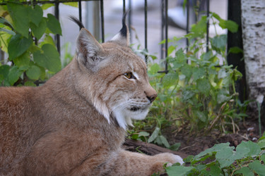 Similar image 21772264