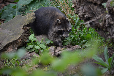 Similar image 21772265