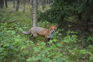 Similar image 21772267