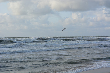 Similar image 21772269