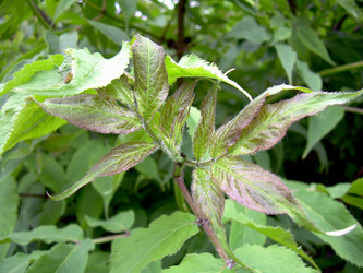 Similar image 21772622