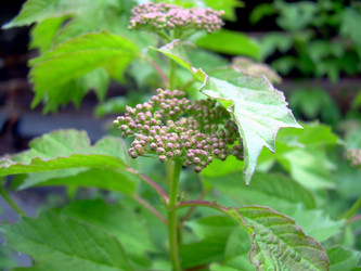 Similar image 21772623