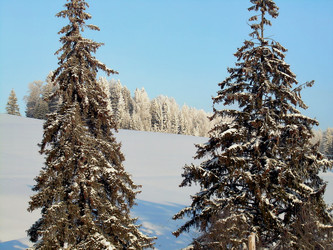 Similar image 21772625