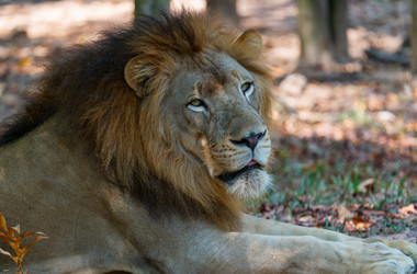 Similar image 21772815