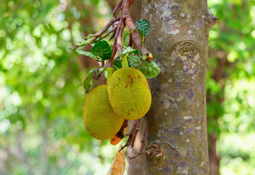 Similar image 21772816