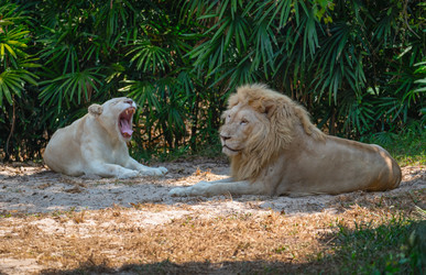 Similar image 21772817