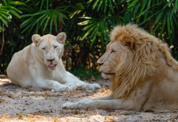 Similar image 21772818