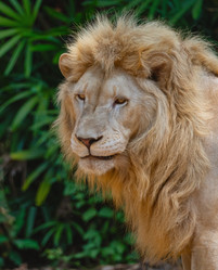 Similar image 21772822