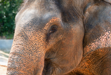 Similar image 21772832