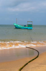 Similar image 21772836