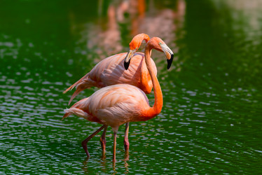 Similar image 21772845