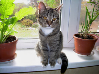 Similar image 21772935