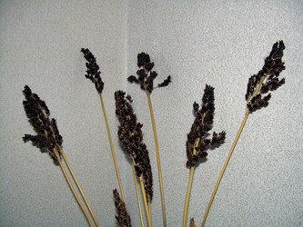 Similar image 21772940