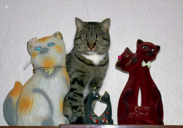 Similar image 21772942