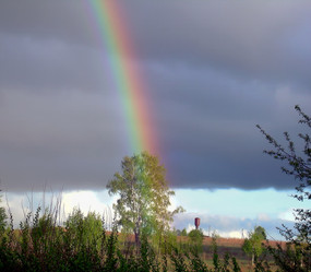 Similar image 21772946