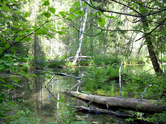 Similar image 21772952